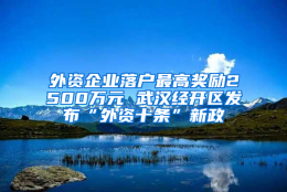 外资企业落户最高奖励2500万元 武汉经开区发布“外资十条”新政