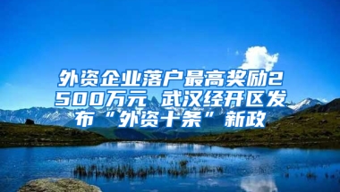 外资企业落户最高奖励2500万元 武汉经开区发布“外资十条”新政