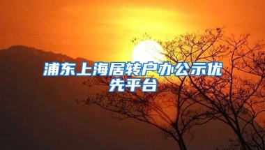 浦东上海居转户办公示优先平台