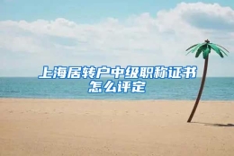 上海居转户中级职称证书怎么评定