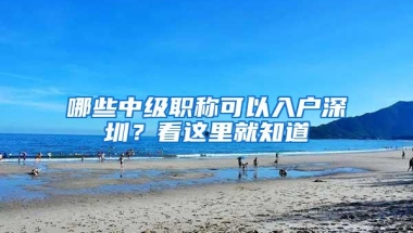 哪些中级职称可以入户深圳？看这里就知道