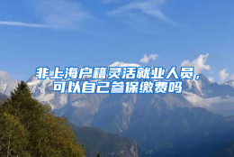 非上海户籍灵活就业人员，可以自己参保缴费吗