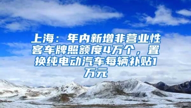 上海：年内新增非营业性客车牌照额度4万个，置换纯电动汽车每辆补贴1万元