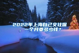 2022年上海自己交社保，一个月要多少钱？