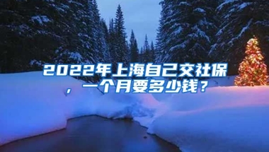 2022年上海自己交社保，一个月要多少钱？