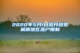 2020年5月1日放开放宽城镇地区落户限制