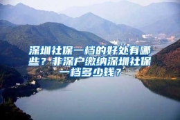 深圳社保一档的好处有哪些？非深户缴纳深圳社保一档多少钱？