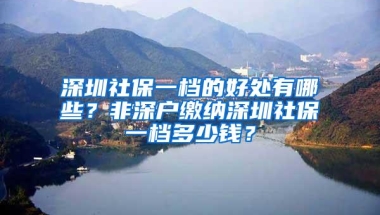 深圳社保一档的好处有哪些？非深户缴纳深圳社保一档多少钱？