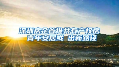 深圳房企首推共有产权房 青年安居或蹚出新路径