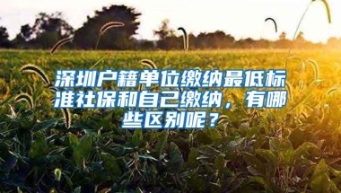 深圳户籍单位缴纳最低标准社保和自己缴纳，有哪些区别呢？