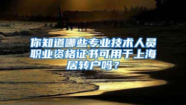 你知道哪些专业技术人员职业资格证书可用于上海居转户吗？