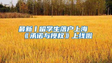 最新丨留学生落户上海《承诺与授权》上线啦