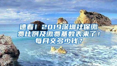 速看！2019深圳社保缴费比例及缴费基数表来了！每月交多少钱？