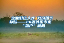 企业引进人才 政府给予补贴——24名外国专家“落户”濮阳