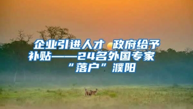 企业引进人才 政府给予补贴——24名外国专家“落户”濮阳