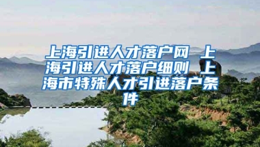 上海引进人才落户网 上海引进人才落户细则 上海市特殊人才引进落户条件