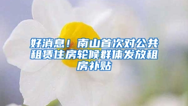 好消息！南山首次对公共租赁住房轮候群体发放租房补贴