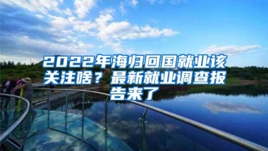 2022年海归回国就业该关注啥？最新就业调查报告来了