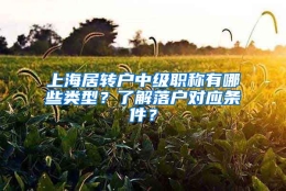 上海居转户中级职称有哪些类型？了解落户对应条件？