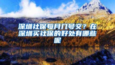 深圳社保每月几号交？在深圳买社保的好处有哪些呢