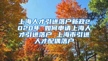 上海人才引进落户新政2020年 如何申请上海人才引进落户 上海市引进人才配偶落户