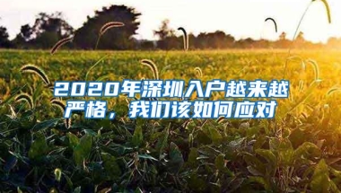 2020年深圳入户越来越严格，我们该如何应对