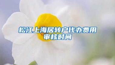 松江上海居转户代办费用审核时间