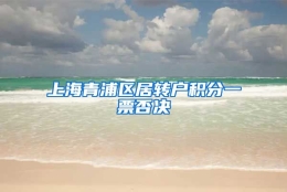 上海青浦区居转户积分一票否决