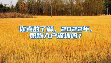 你真的了解，2022年，职称入户深圳吗？