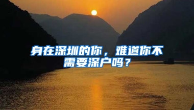 身在深圳的你，难道你不需要深户吗？