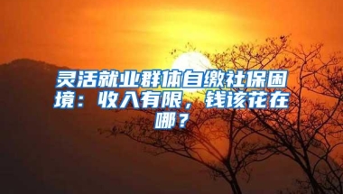 灵活就业群体自缴社保困境：收入有限，钱该花在哪？