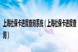 上海社保卡进度查询系统（上海社保卡进度查询）