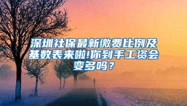 深圳社保最新缴费比例及基数表来啦!你到手工资会变多吗？