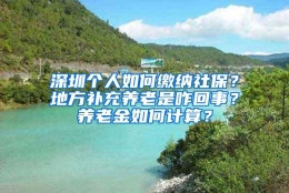 深圳个人如何缴纳社保？地方补充养老是咋回事？养老金如何计算？