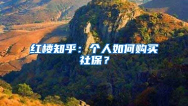 红楼知乎：个人如何购买社保？