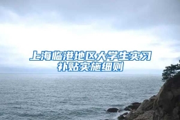 上海临港地区大学生实习补贴实施细则