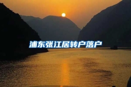 浦东张江居转户落户