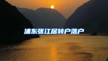 浦东张江居转户落户