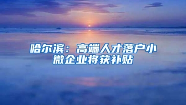 哈尔滨：高端人才落户小微企业将获补贴