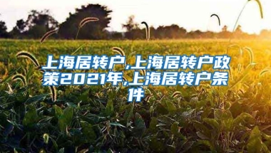 上海居转户,上海居转户政策2021年,上海居转户条件