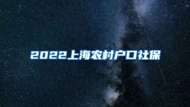 2022上海农村户口社保