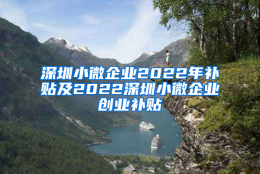 深圳小微企业2022年补贴及2022深圳小微企业创业补贴