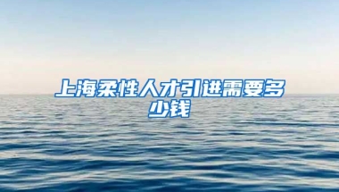 上海柔性人才引进需要多少钱