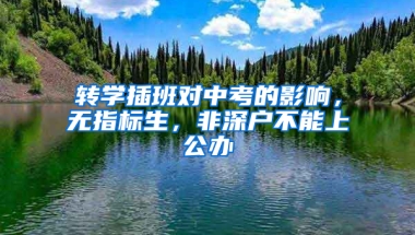 转学插班对中考的影响，无指标生，非深户不能上公办