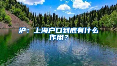 沪：上海户口到底有什么作用？