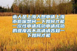 本人是上海人想申请上海市低保想问一下如何才能一次性申请成功申请成功的难度高不高请请告知一下如何才能