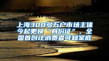 上海300多万户市场主体今起更换“身份证”，全国首创让消费者可知案底