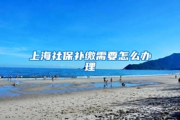 上海社保补缴需要怎么办理