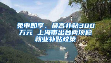 免申即享、最高补贴300万元 上海市出台两项稳就业补贴政策