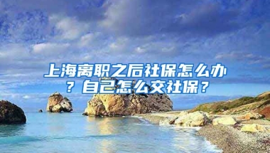 上海离职之后社保怎么办？自己怎么交社保？